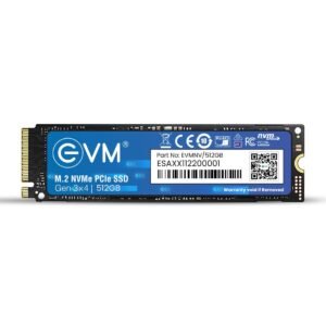 512GB EVM M.2 NVME SSD