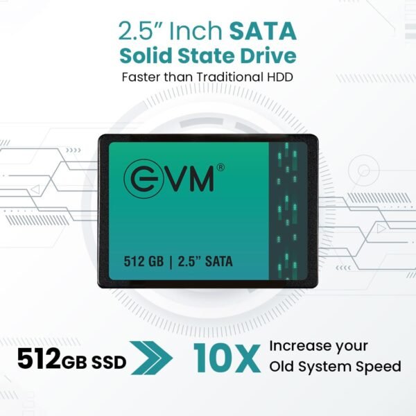 512GB SATA EVM SSD