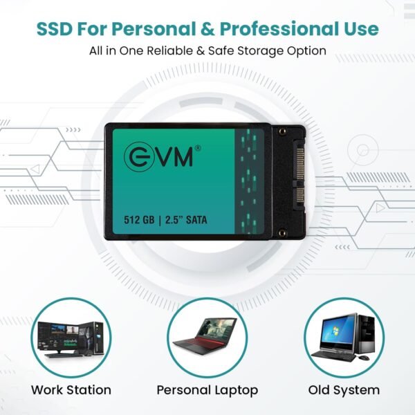 512GB SATA EVM SSD 2