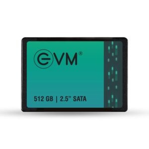 512GB SATA EVM SSD