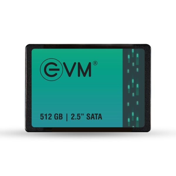 512GB SATA EVM SSD