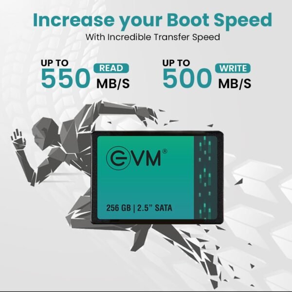 evm 256gb sata ssd 1