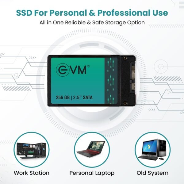 evm 256gb sata ssd 2