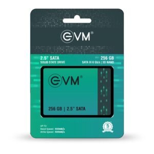 evm 256gb sata ssd 3