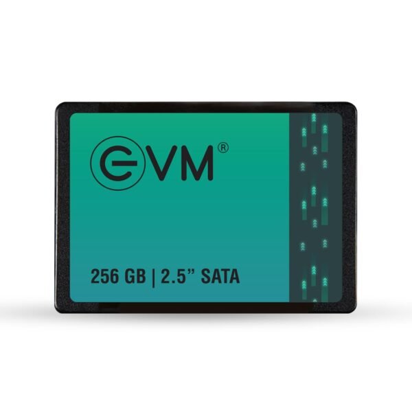 evm 256gb sata ssd