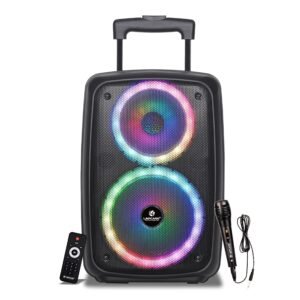 lapcare lapsonic lps222 30watts
